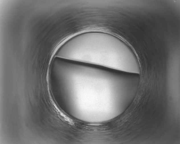 X0000086251343200703291025