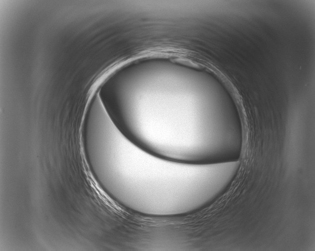 X0000086251344200703291025