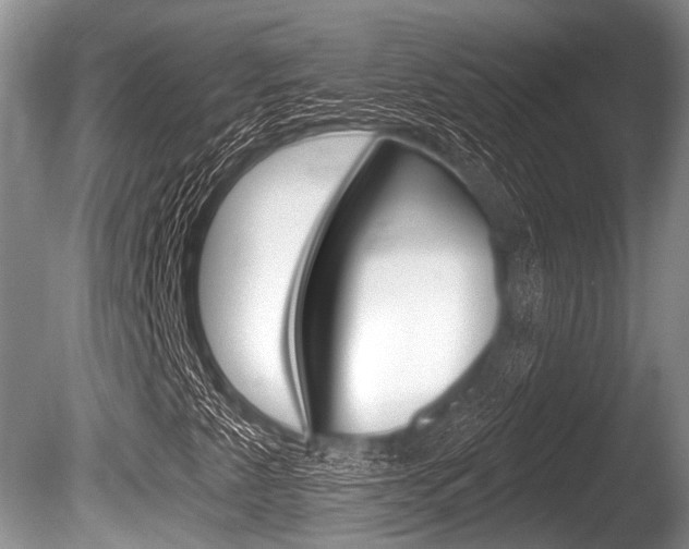 X0000086251345200703291024