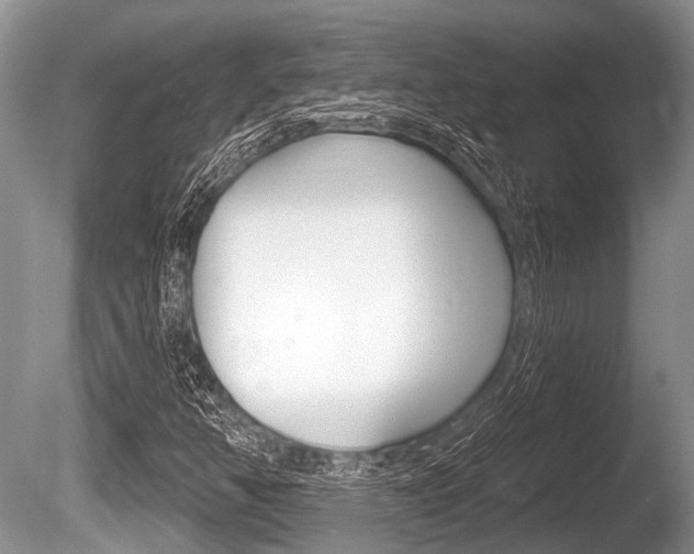 X0000086251350200703291024