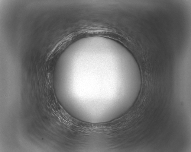 X0000086251351200703291024