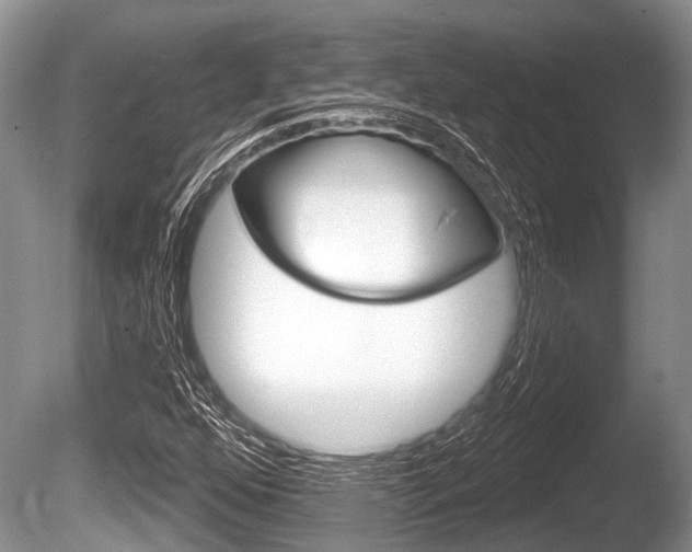 X0000086251352200703291024