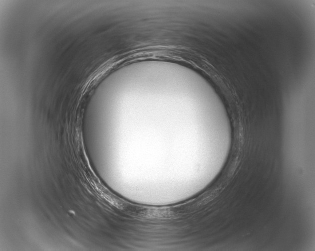 X0000086251354200703291024