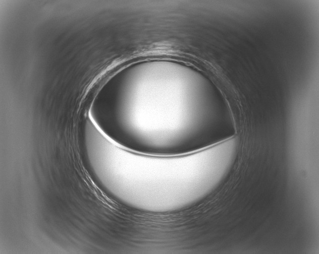 X0000086251356200703291024