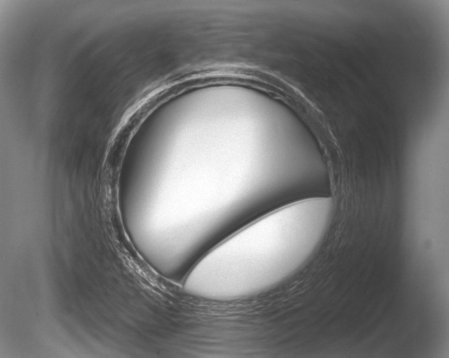 X0000086251360200703291024