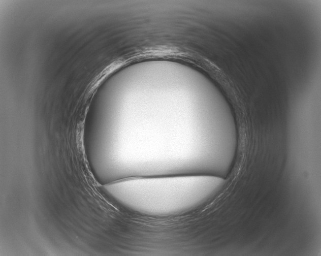 X0000086251361200703291024
