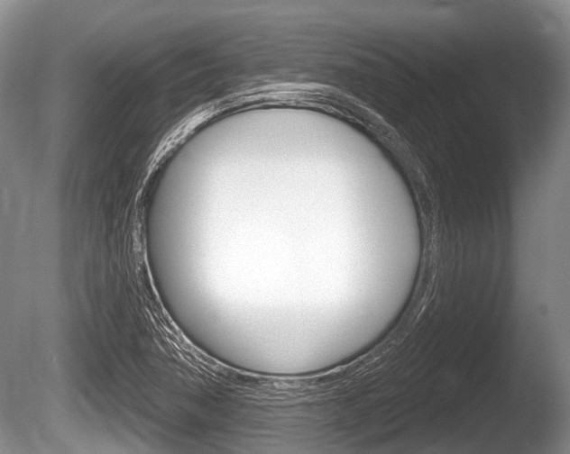 X0000086251362200703291024
