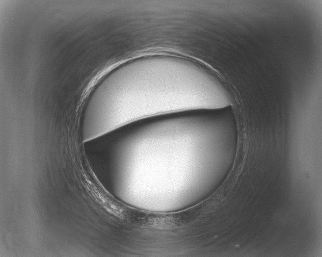 X0000086251363200703291024
