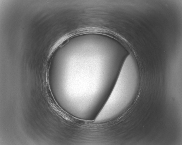 X0000086251365200703291024