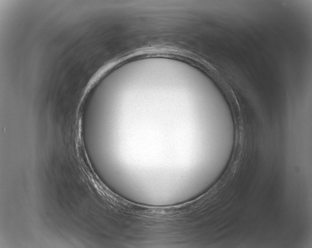 X0000086251366200703291024