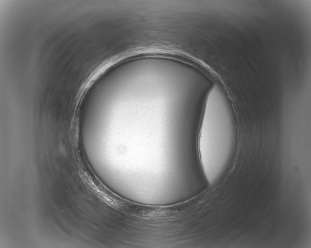 X0000086251367200703291024