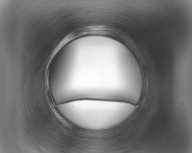 X0000086251370200703291024