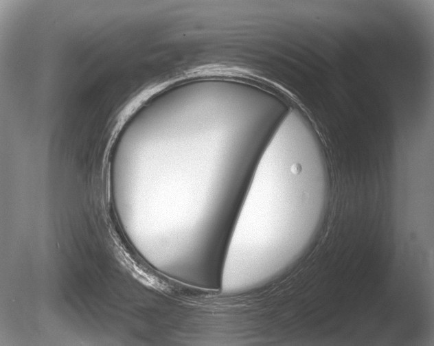 X0000086251371200703291024
