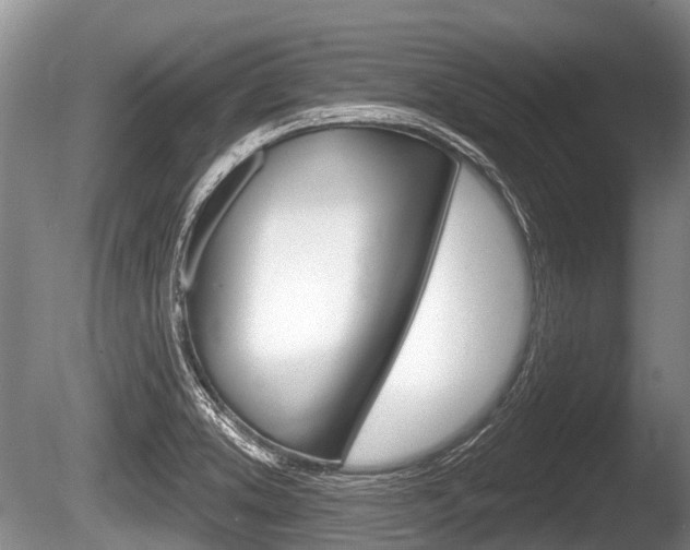 X0000086251373200703291024