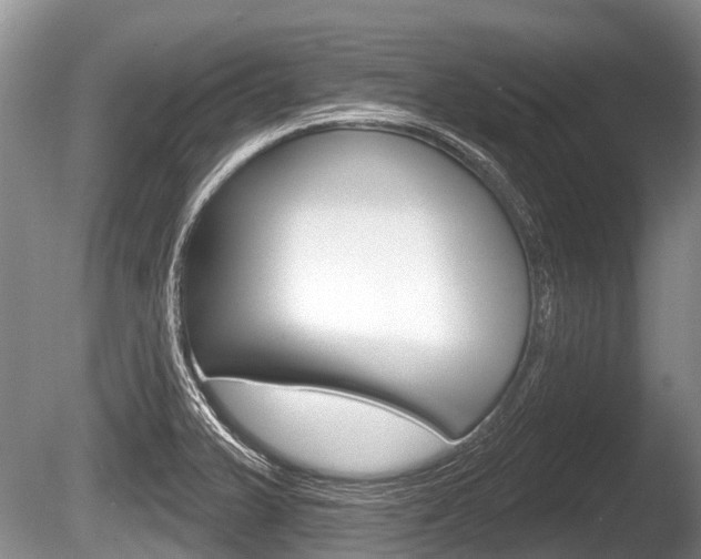 X0000086251375200703291024