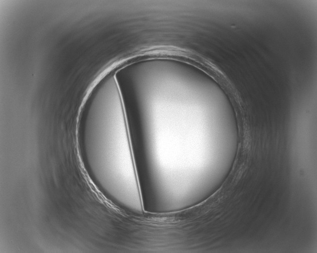 X0000086251376200703291024