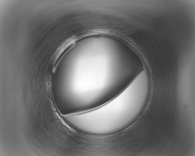X0000086251377200703291024