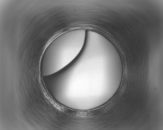 X0000086251378200703291024
