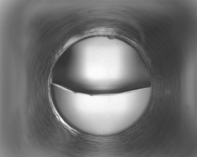 X0000086251383200703291024