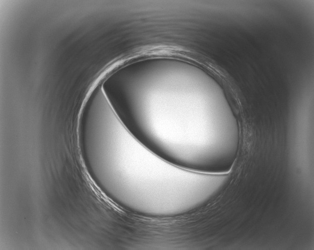 X0000086251384200703291024