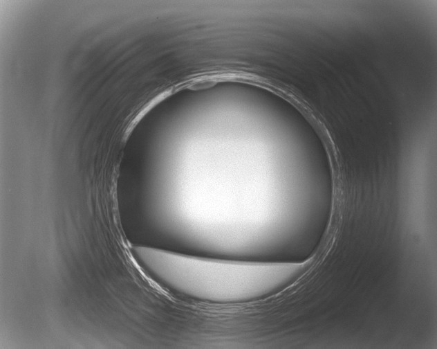 X0000086251385200703291024