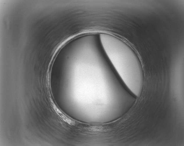 X0000086251388200703291023