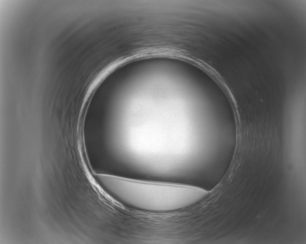 X0000086251389200703291023