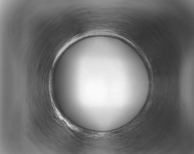 X0000086251390200703291023