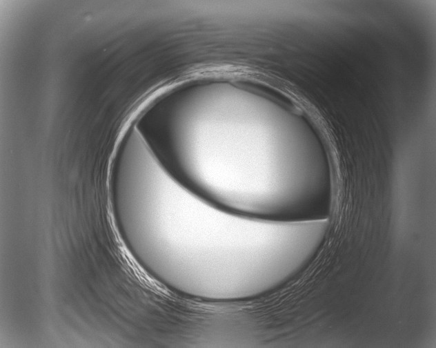 X0000086251392200703291023