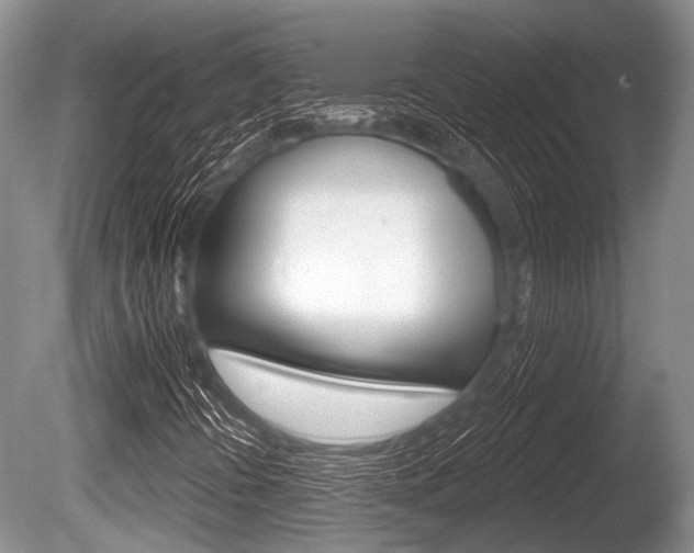 X0000086251394200703291023
