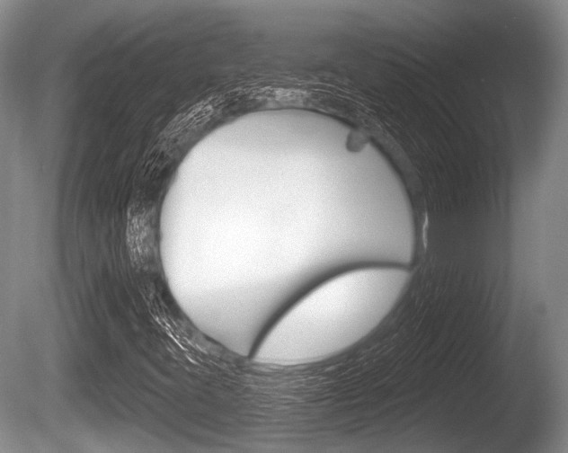 X0000086251395200703291023