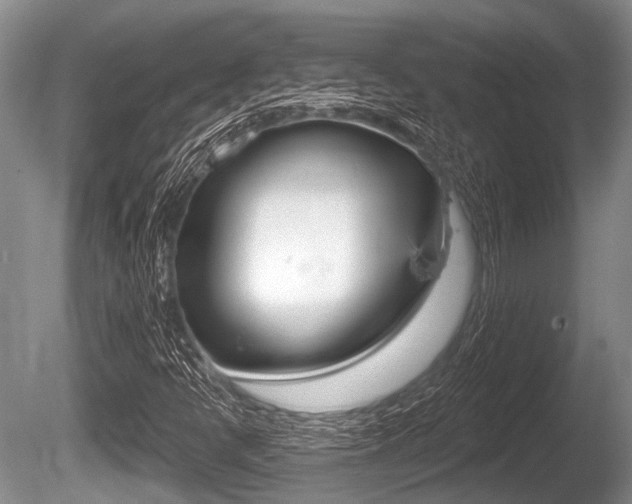 X0000086251398200703291023