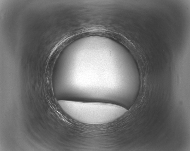 X0000086251400200703291023