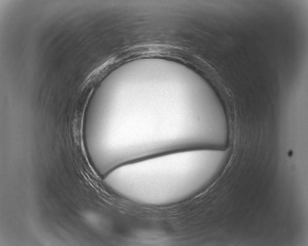 X0000086251403200703291023