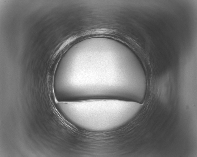 X0000086251404200703291023