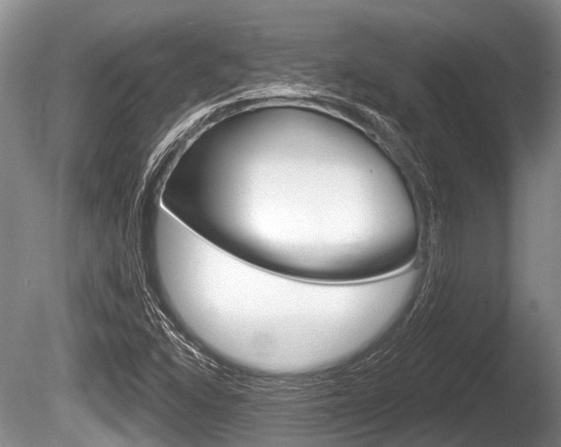 X0000086251406200703291023