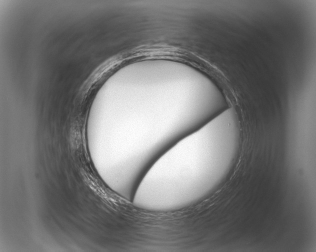 X0000086251407200703291023