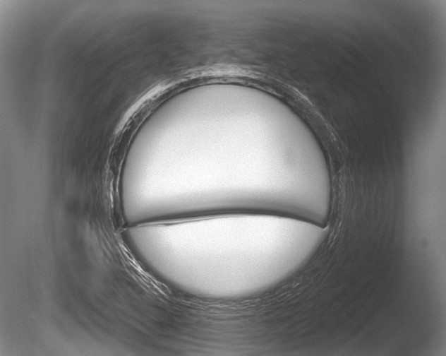 X0000086251408200703291023