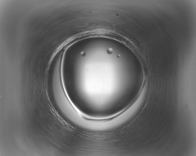 X0000086251410200703291023