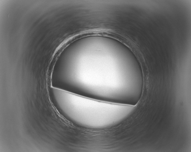 X0000086251412200703291023
