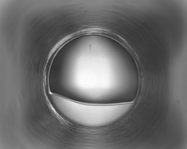 X0000086251418200703291023