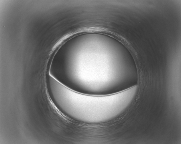 X0000086251422200703291023