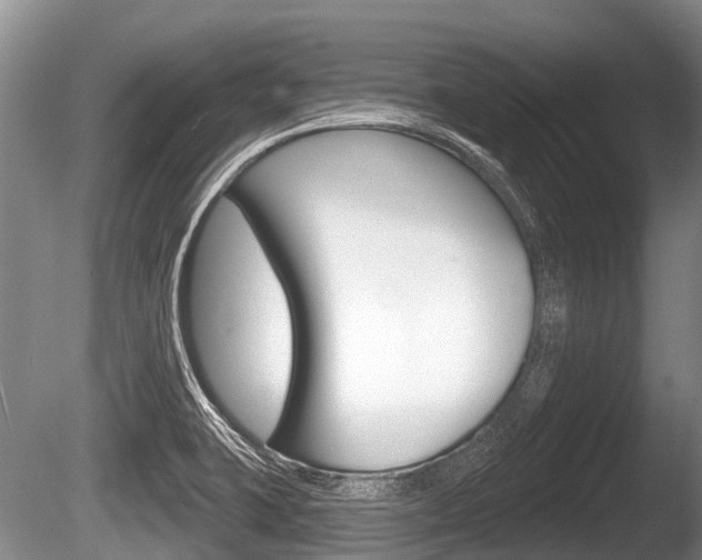 X0000086251423200703291023