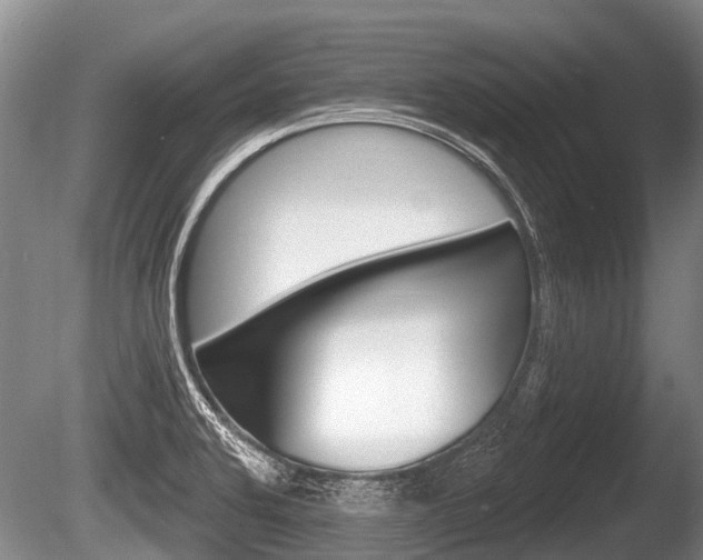 X0000086251424200703291023
