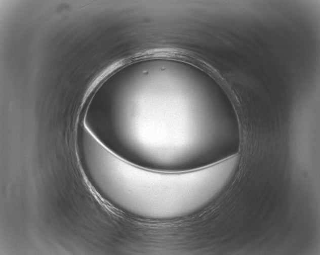 X0000086251426200703291023