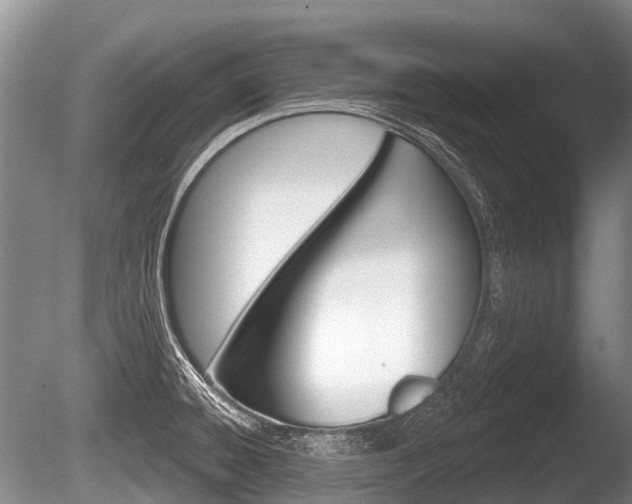 X0000086251428200703291023