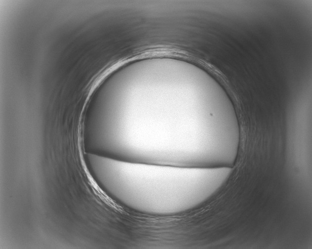 X0000086251431200703291023