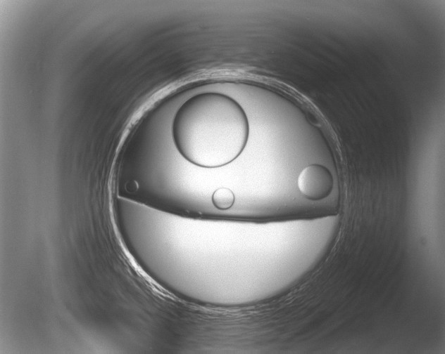 X0000086251432200703291023