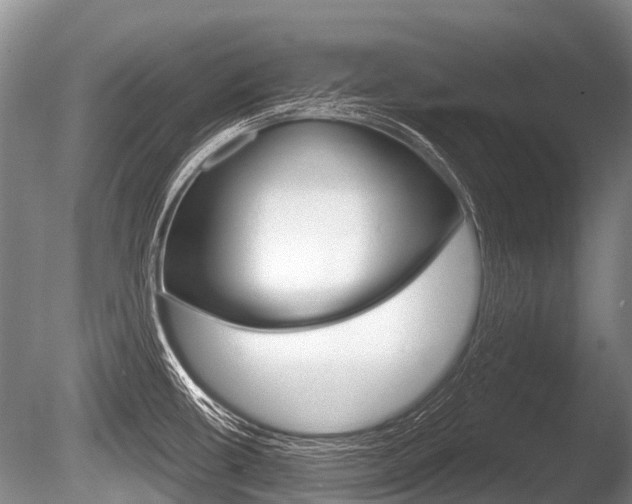 X0000086251434200703291023