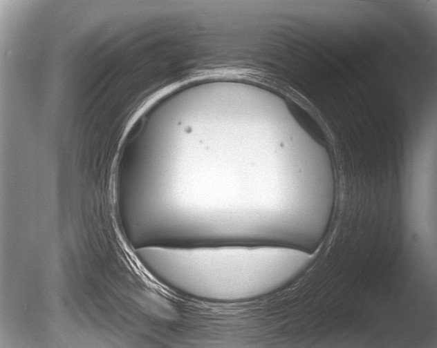 X0000086251436200703291023
